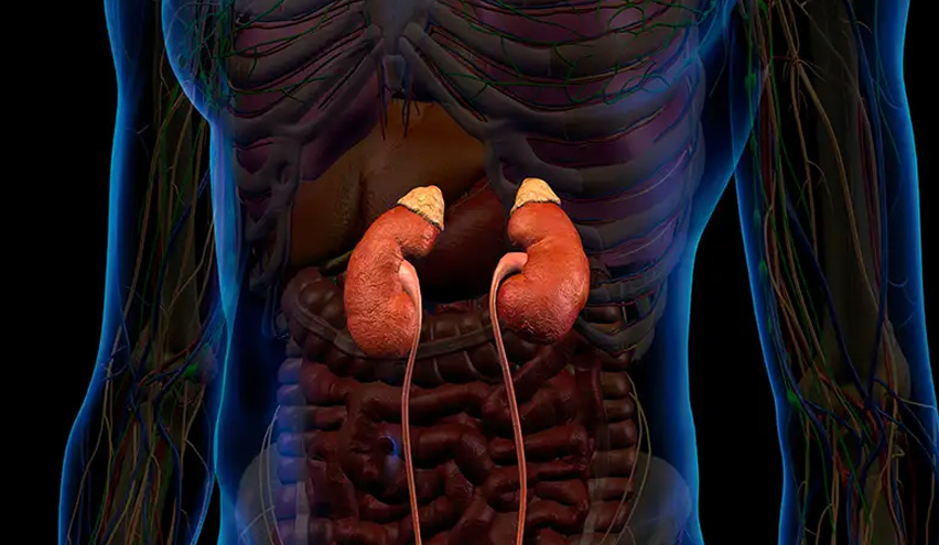 xray_medical_blog_05 xray_medical_blog_05